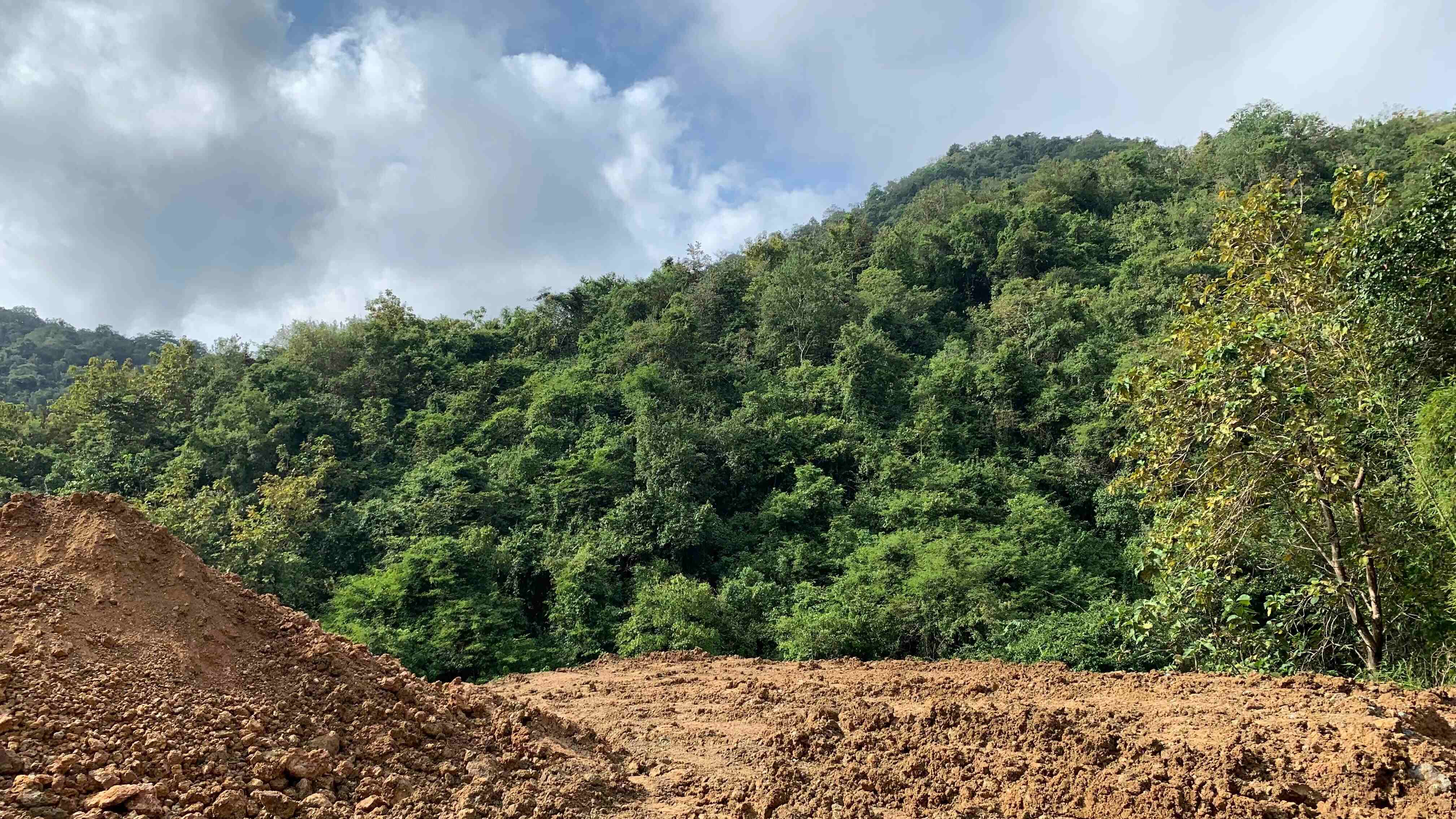 Pembukaan lahan untuk eksplorasi tambang oleh tim Geomineup